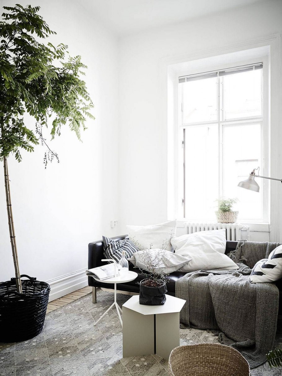 Растения в интерьере спальни