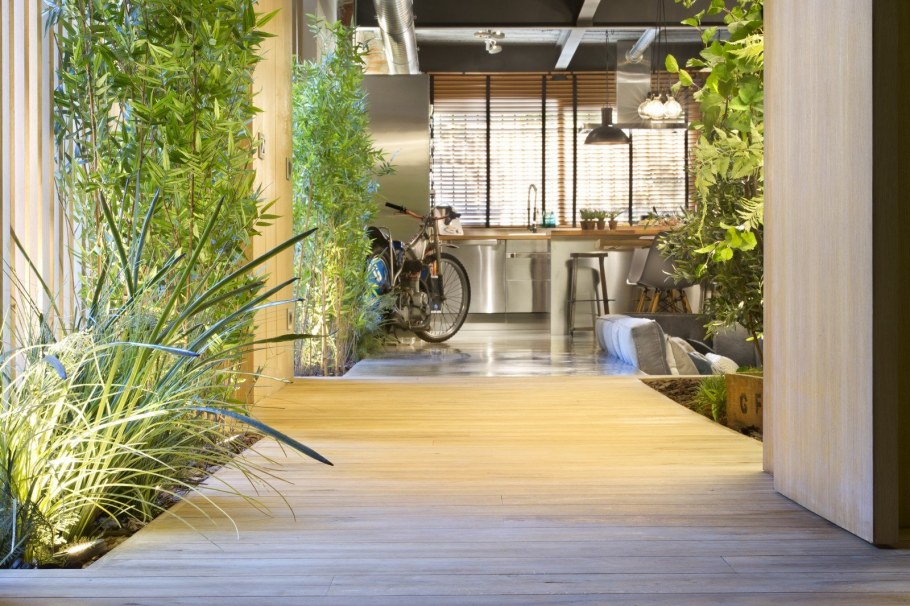 Фитостена петрушка укроп