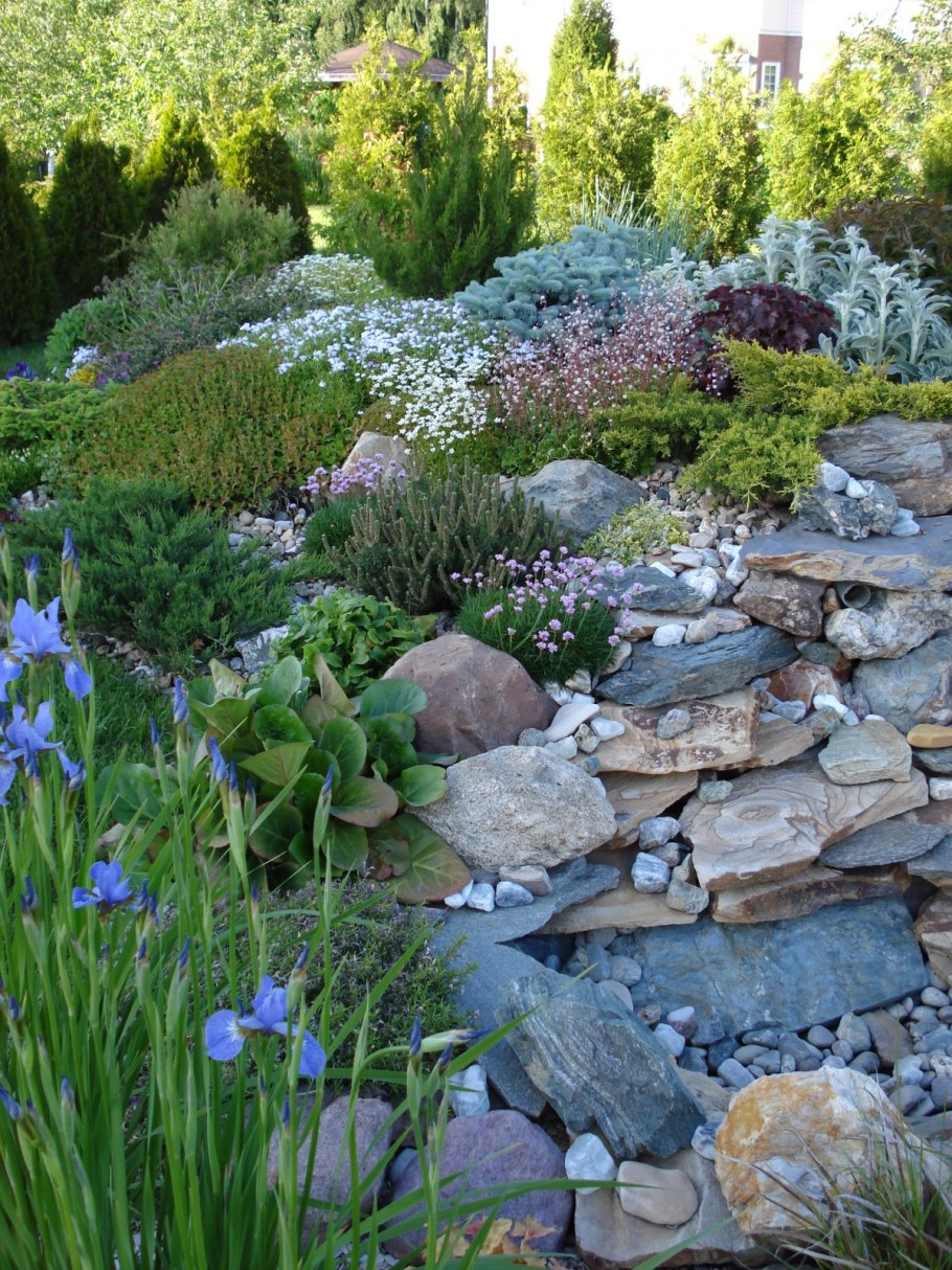 Рокарий сухой ручей