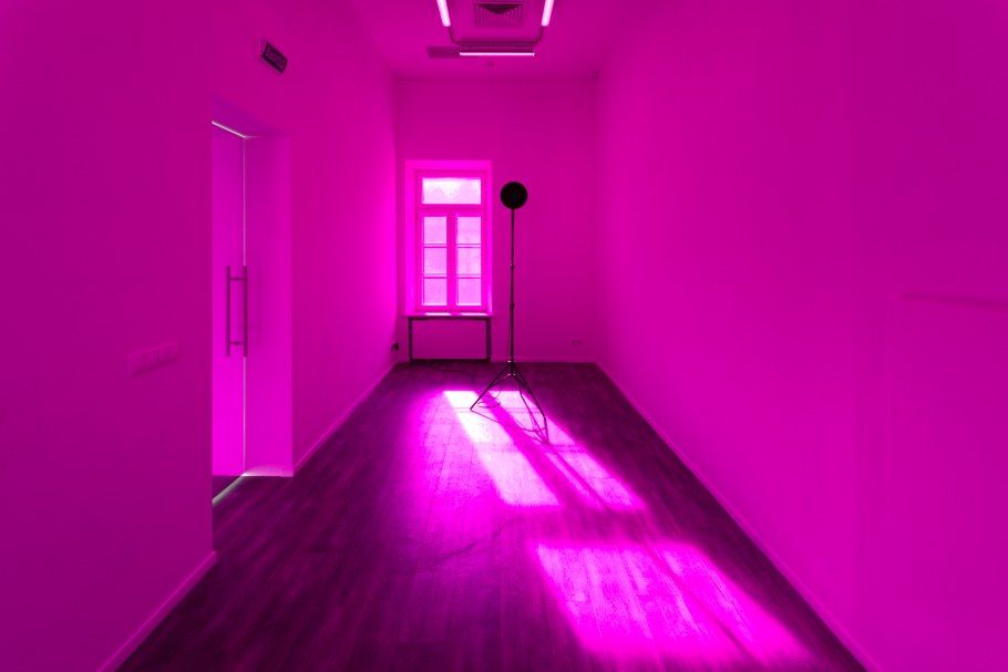 Розовое помещение 3d