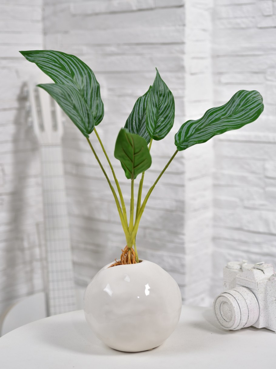 Кашпо Lechuza Рондо