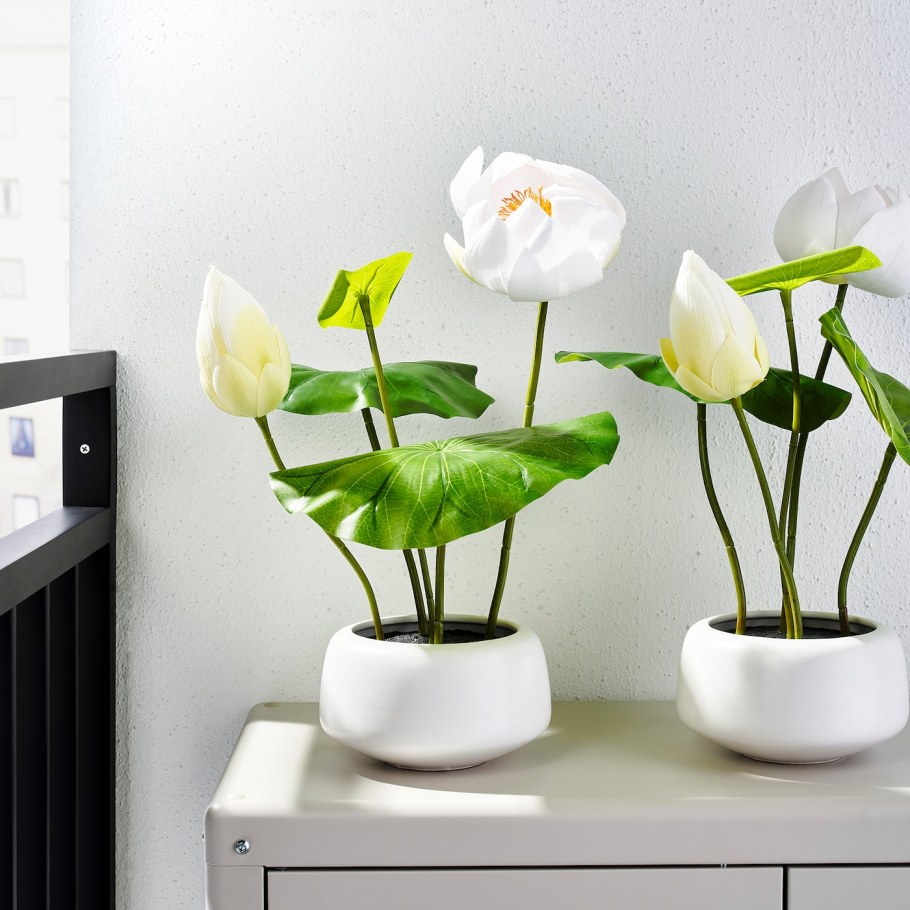 Интерьерные цветочные композиции