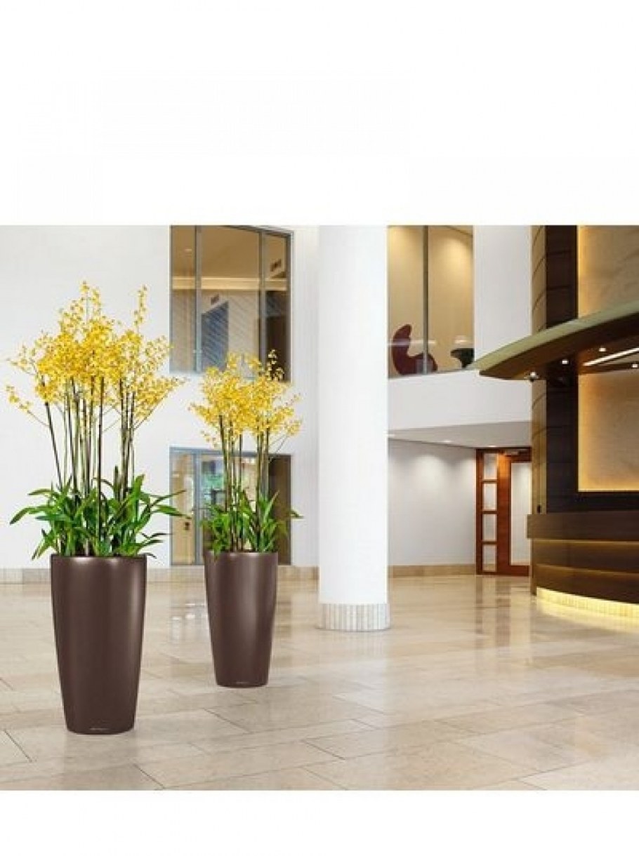 Кашпо Lechuza Delta 20