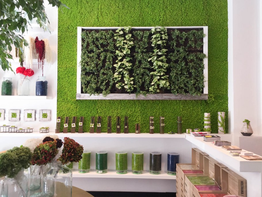 Украшение стены мхом