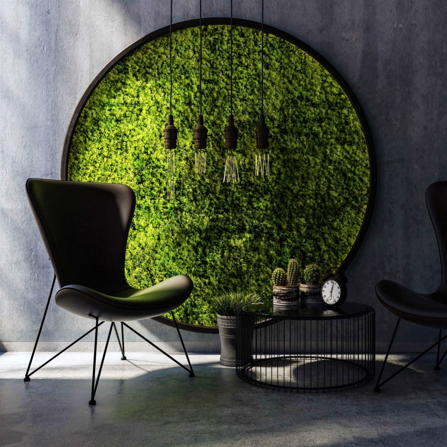 Мох ягель стабилизированный в интерьере