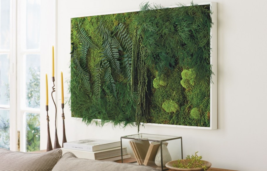 Фитостена джунгли