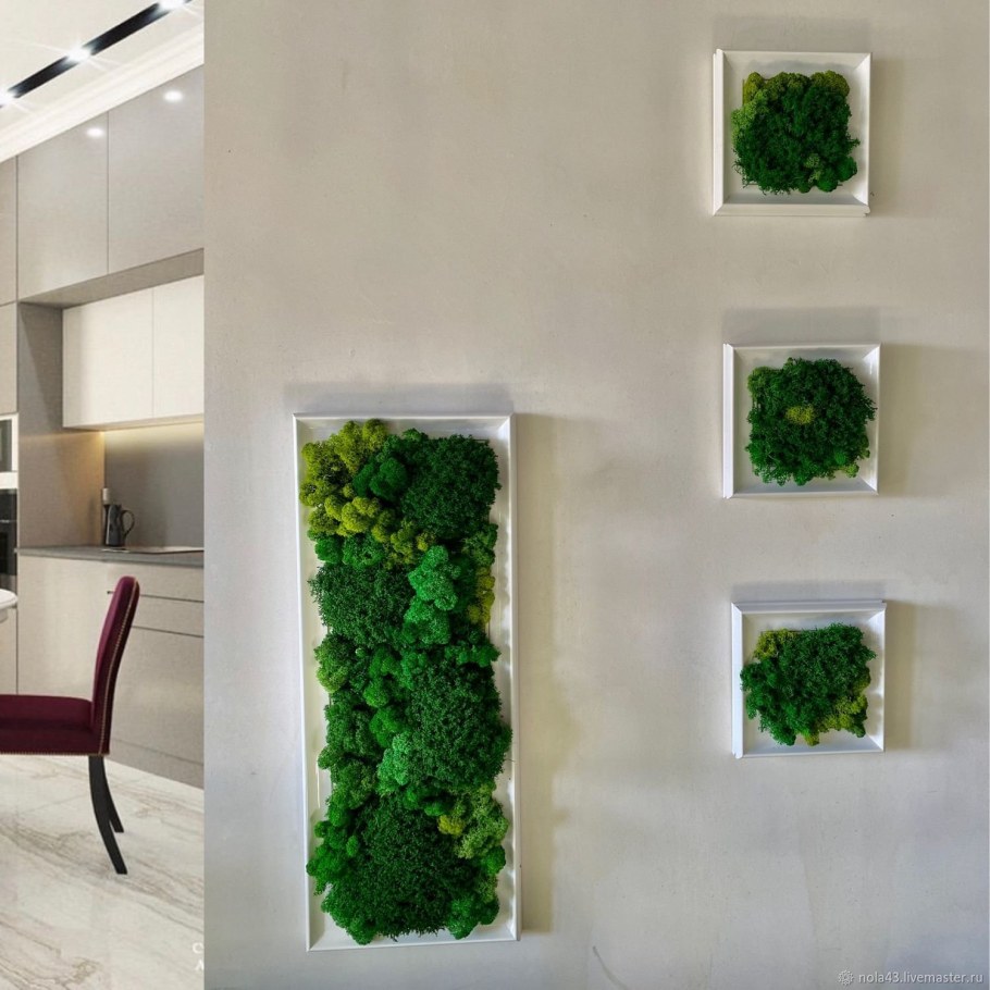 Фитостена из стабилизированного мха