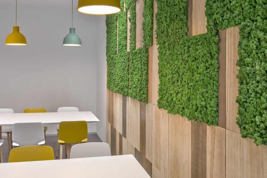 Декоративная зелень на стену