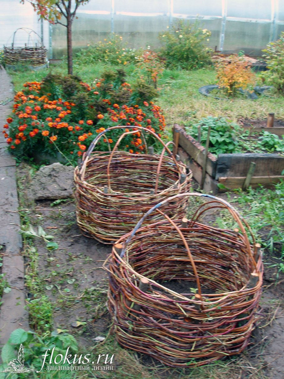 Аптекарский садик на даче