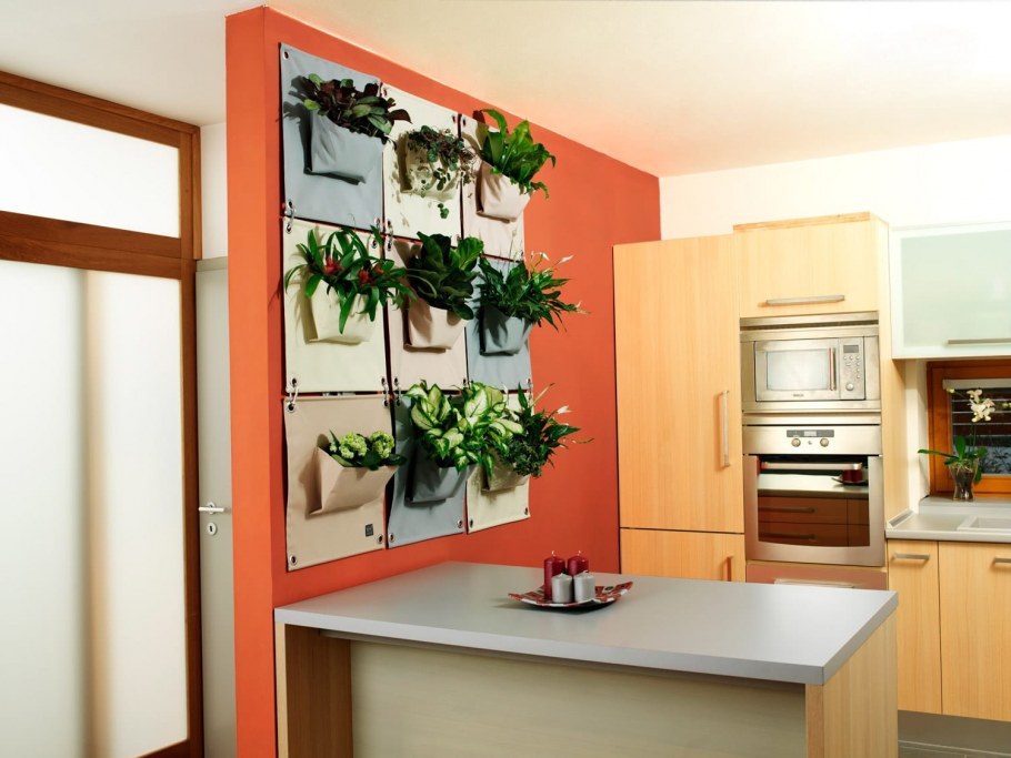 Растения в интерьере