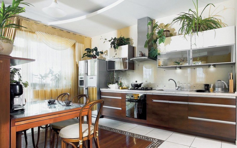 Хлорофитум в интерьере кухни