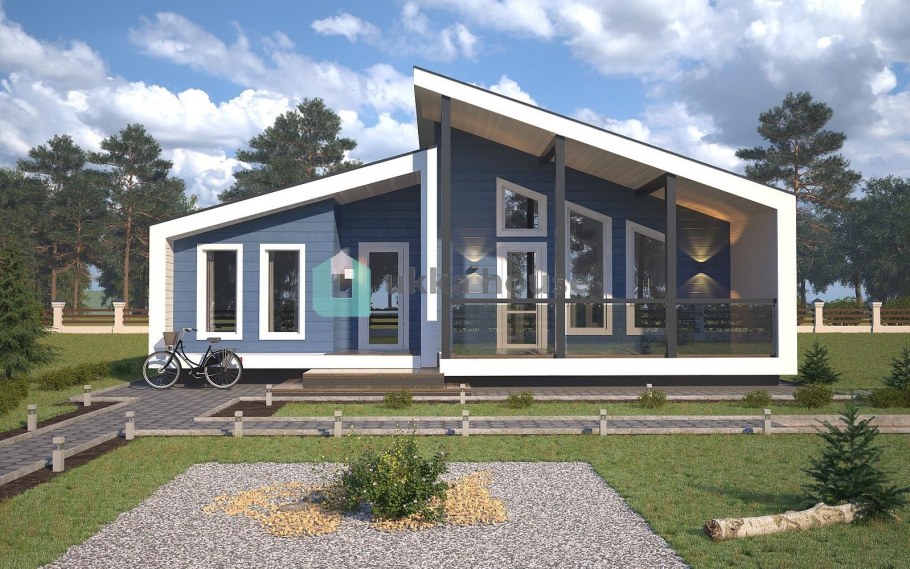 Барн хаусы Barn House с односкатной крышей