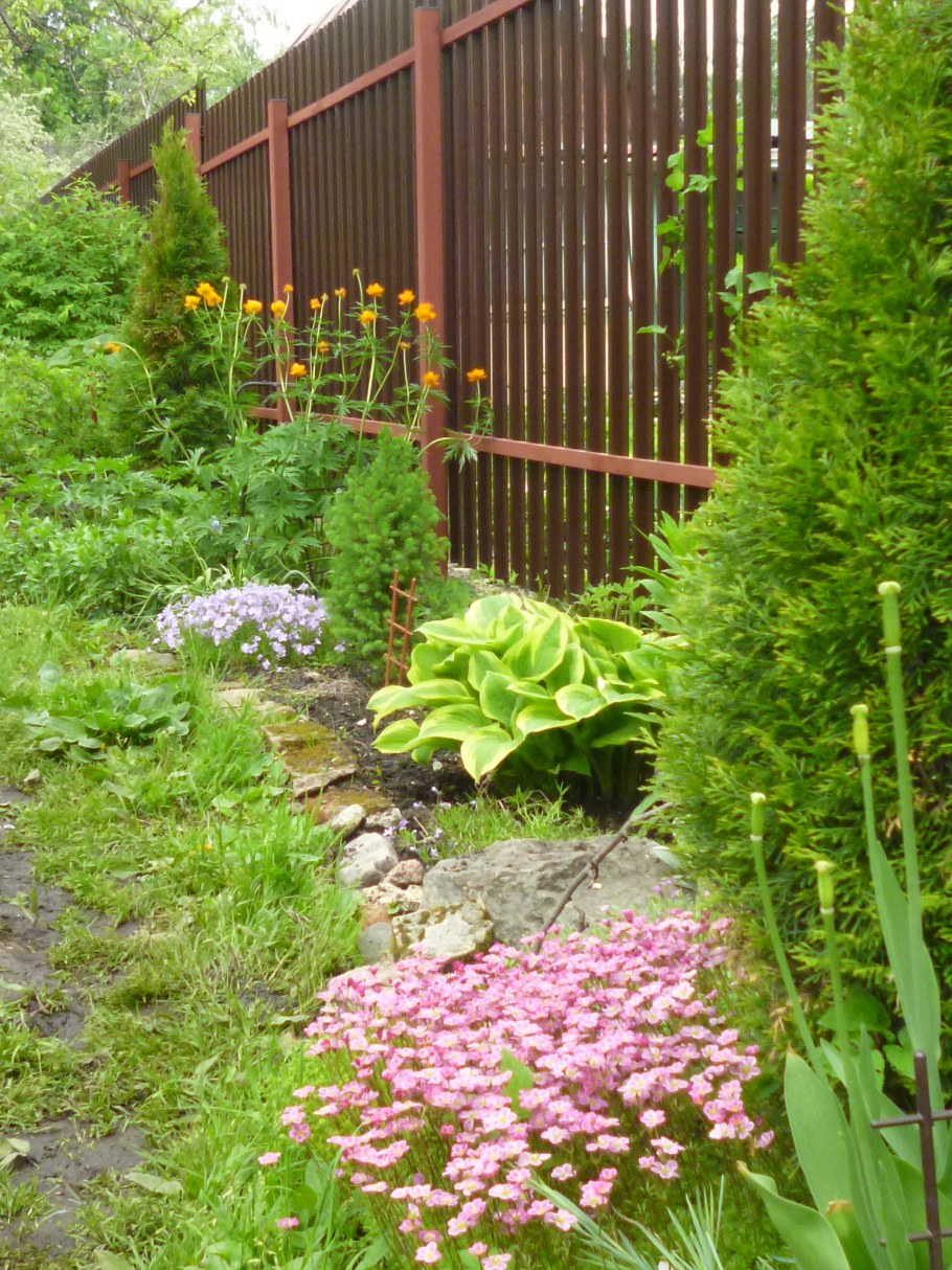 Рабатка вдоль забора
