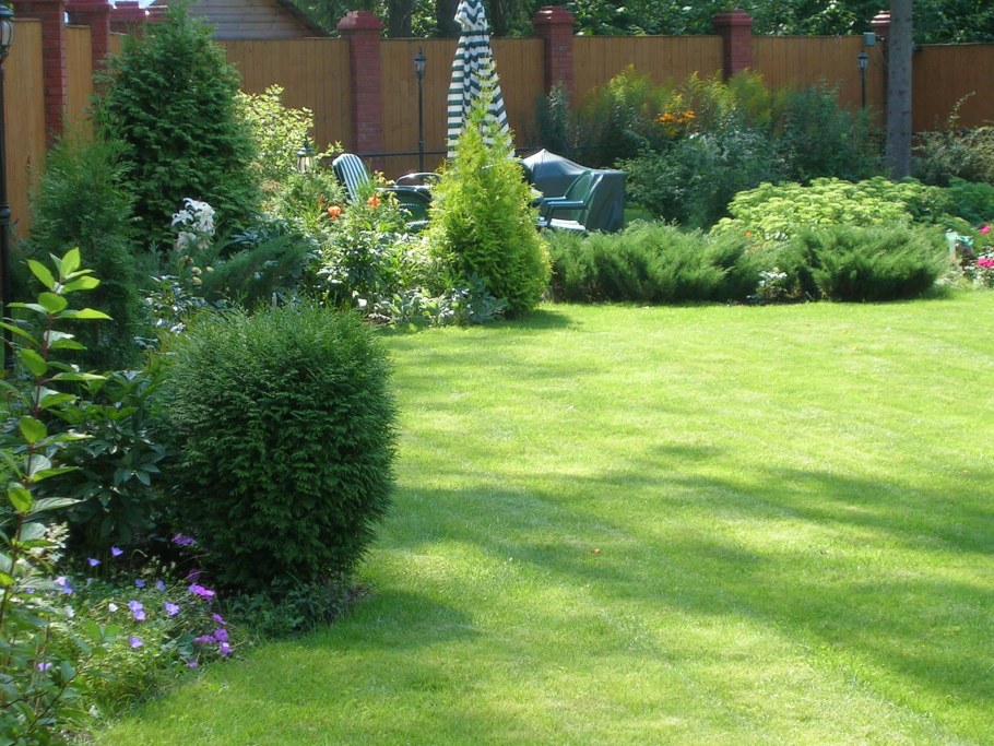 Газон с кустарниками