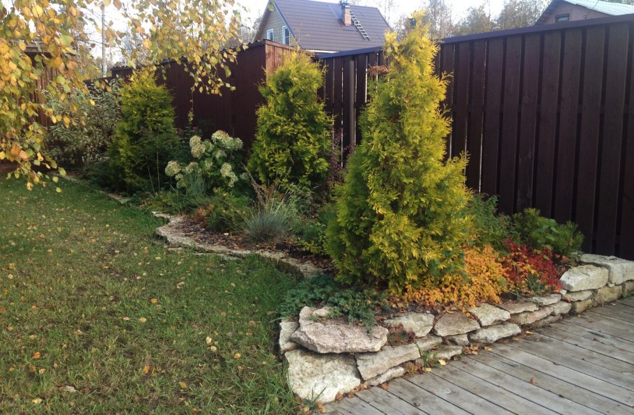 Хвойный миксбордер у забора