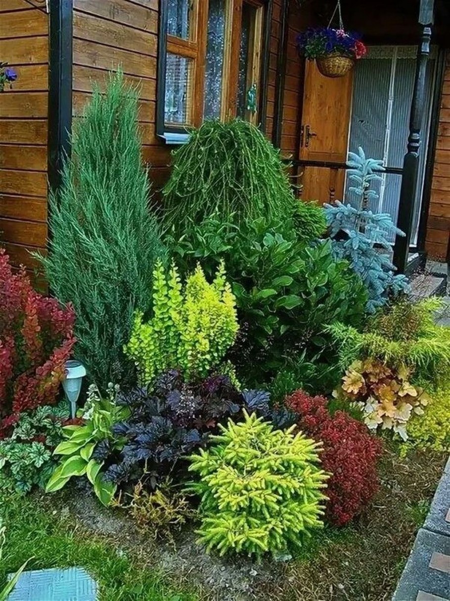 Миксбордер с можжевельником и барбарисом