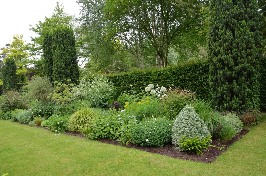 Хвойно Лиственный миксбордер