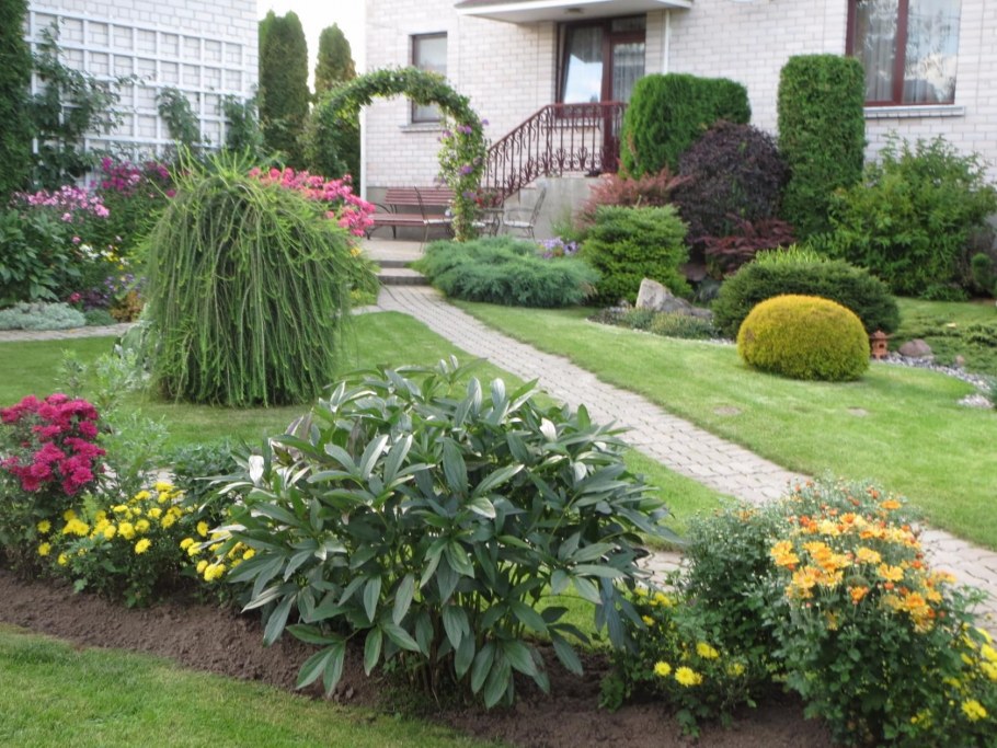 Туя Даника с лилейником