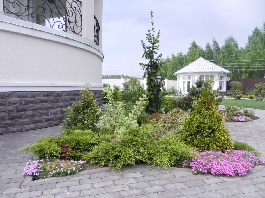 Рабатка с хвойниками