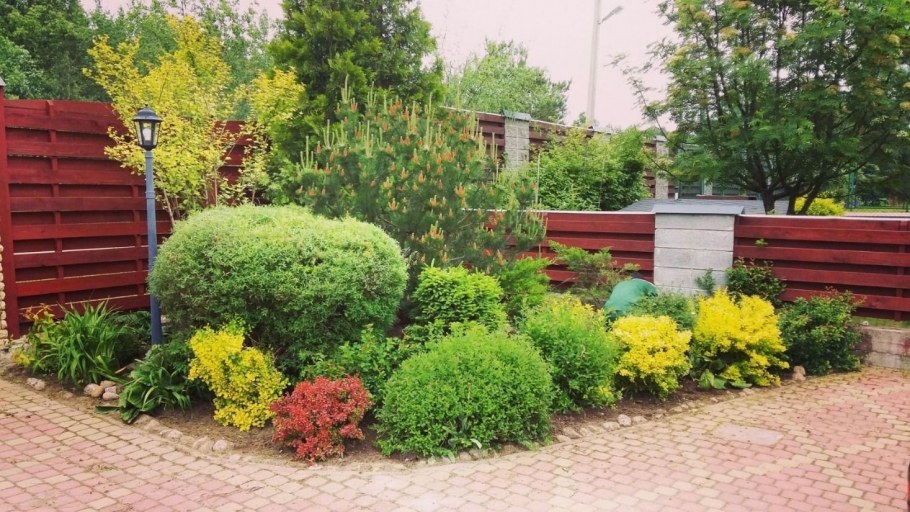 Кустарниковая группа