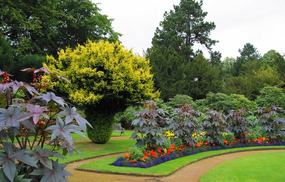 Сад великобританцев