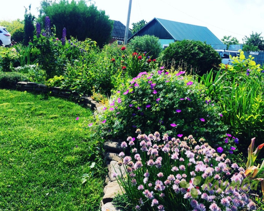 Клумба с кустарниками с ажурной