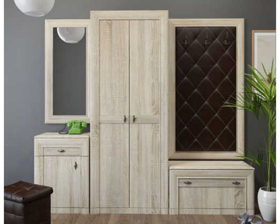 Шкаф-купе Ольга 1500