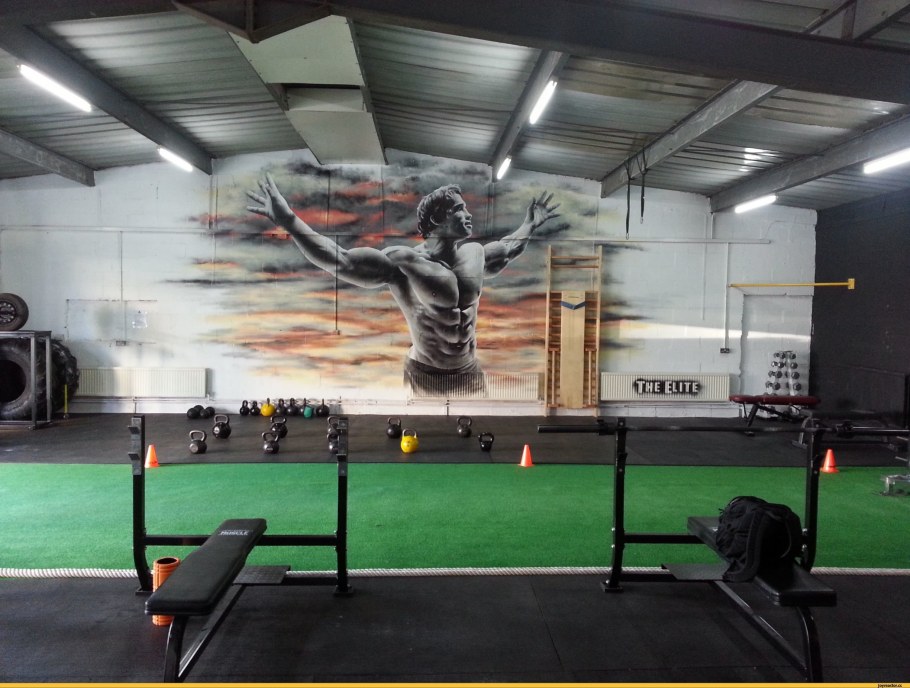 Стены в спортзале