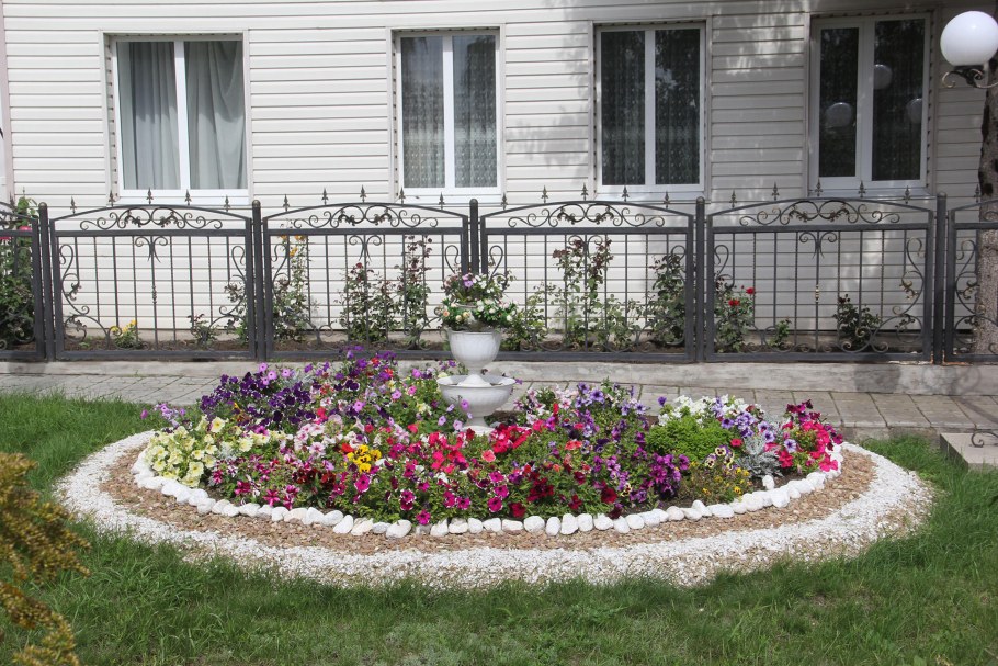 Клумба возле дома