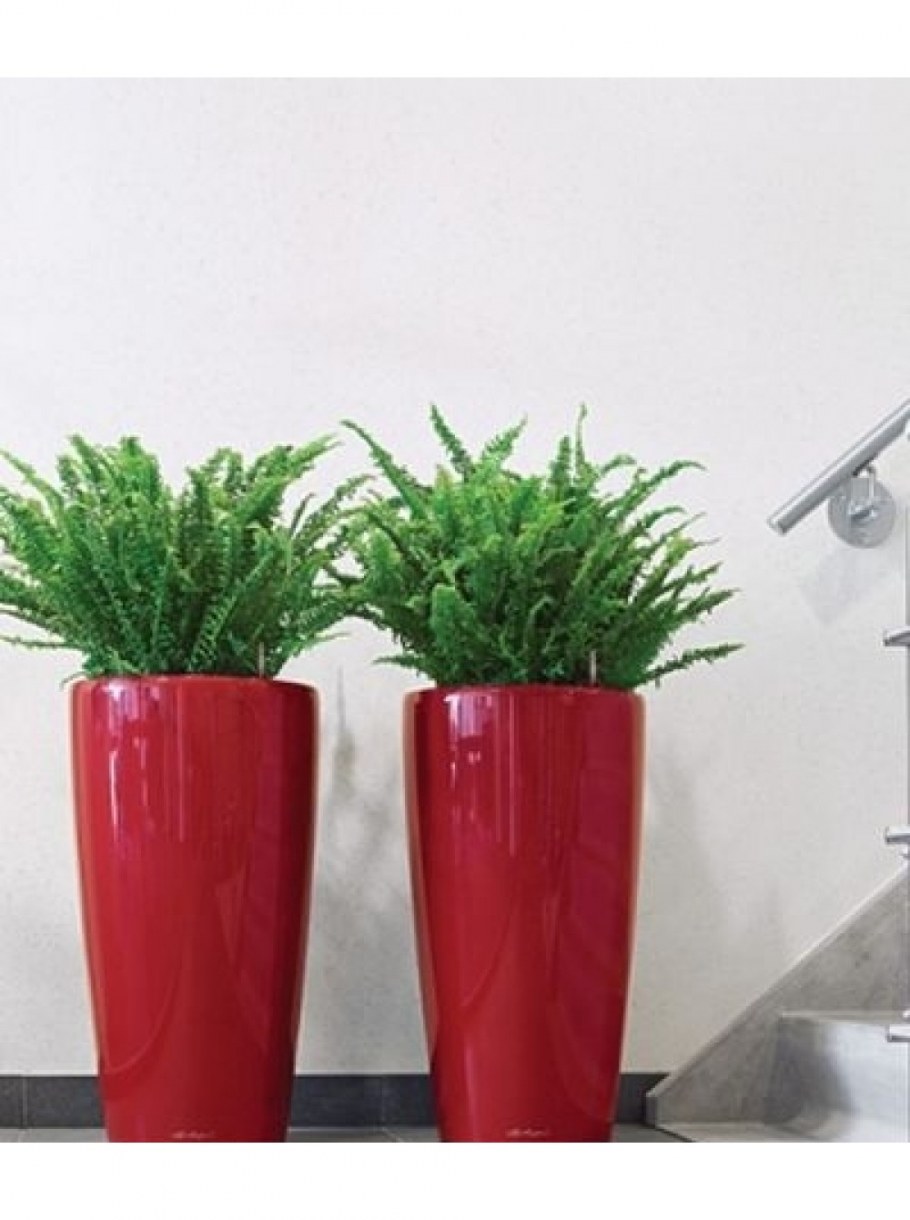 Композиция интерьерная