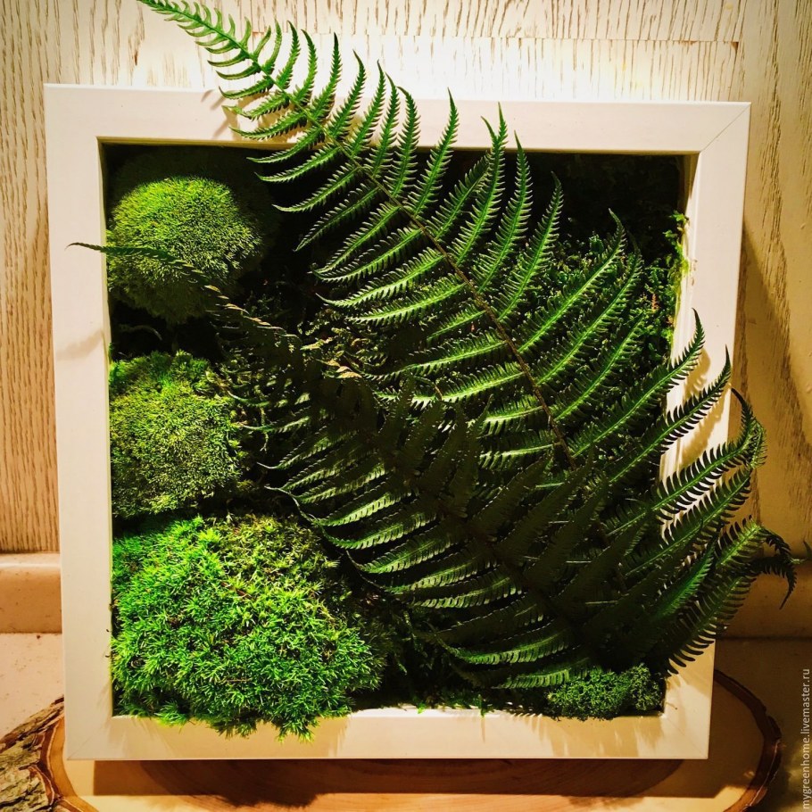 Папоротник на стене в интерьере