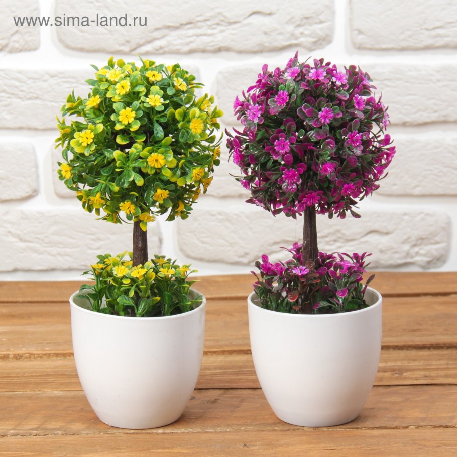 Красивые цветы в горшках