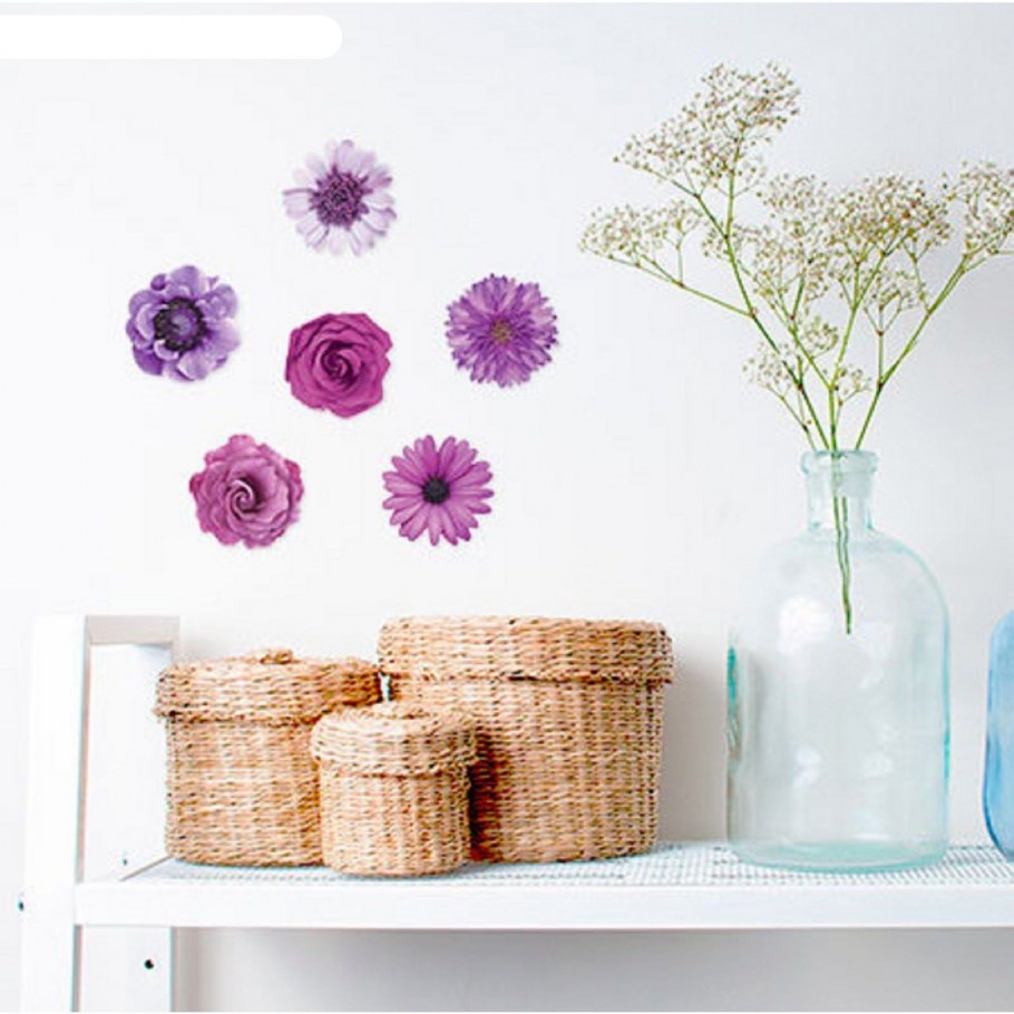 Кактусы на стене в интерьере