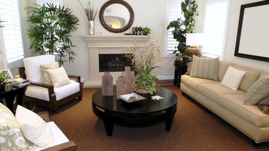 Комнатные цветы в интерьере гостиной