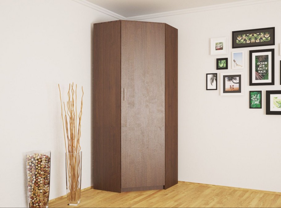 Шкаф-купе "Феникс" 1.7