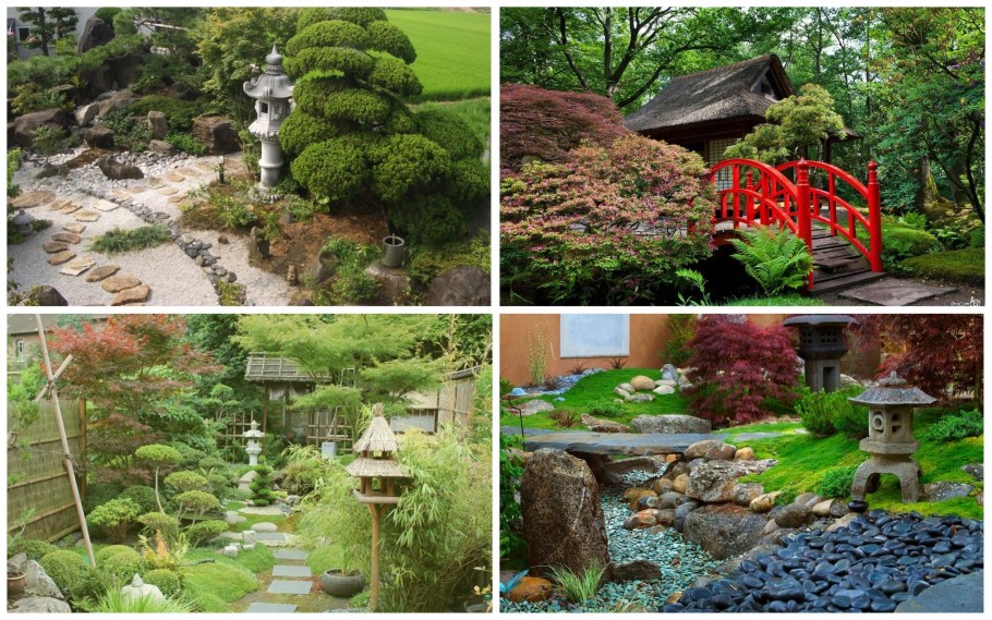 Китай сад дворик бонсай