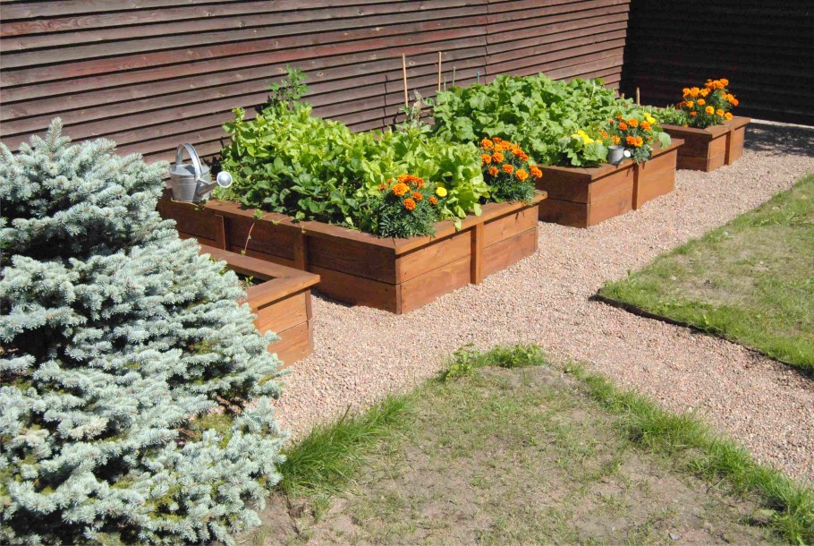 Деревянный бордюр для дорожки