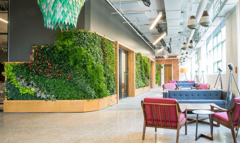 Canada Green вертикальное Озеленение