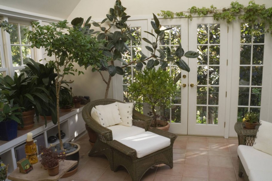 Комнатные растения в интерьере