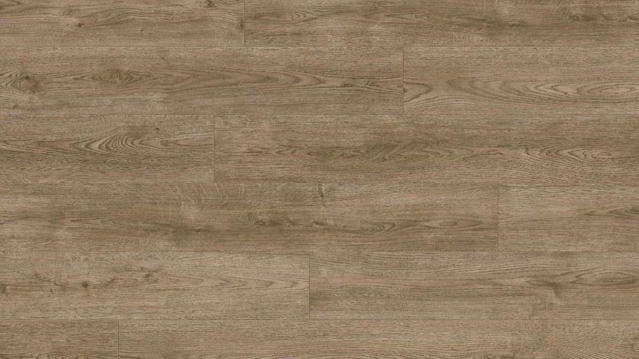 Дуб Рошелье 6292