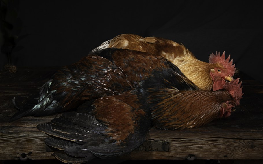 Живопись на стенах в интерьере