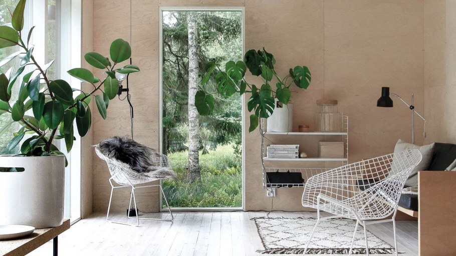 Растения в интерьере Скандинавский стиль