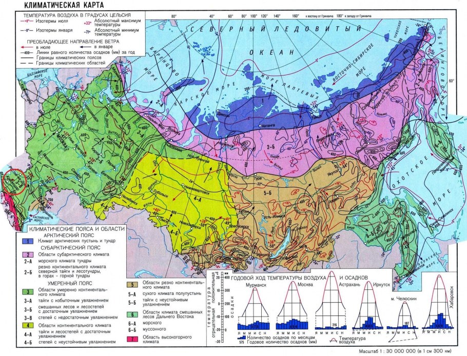 Тенелюбивые комнатные комнатные растения