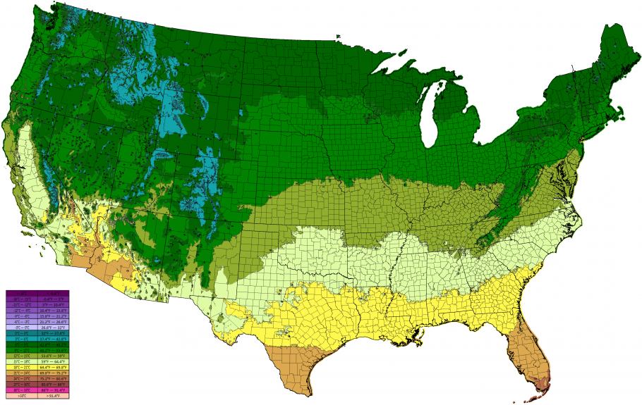 Цветы в интерьере