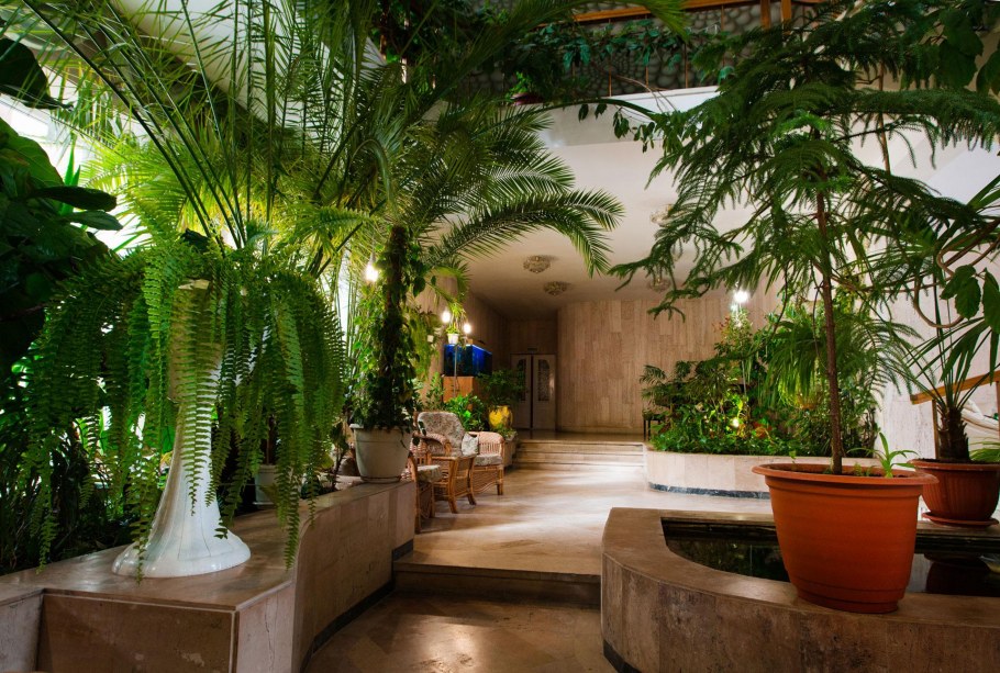 Зимний сад на лоджии