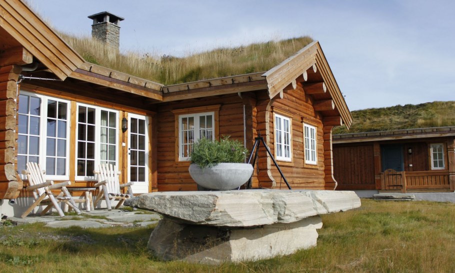 Каркасник Скандинавия