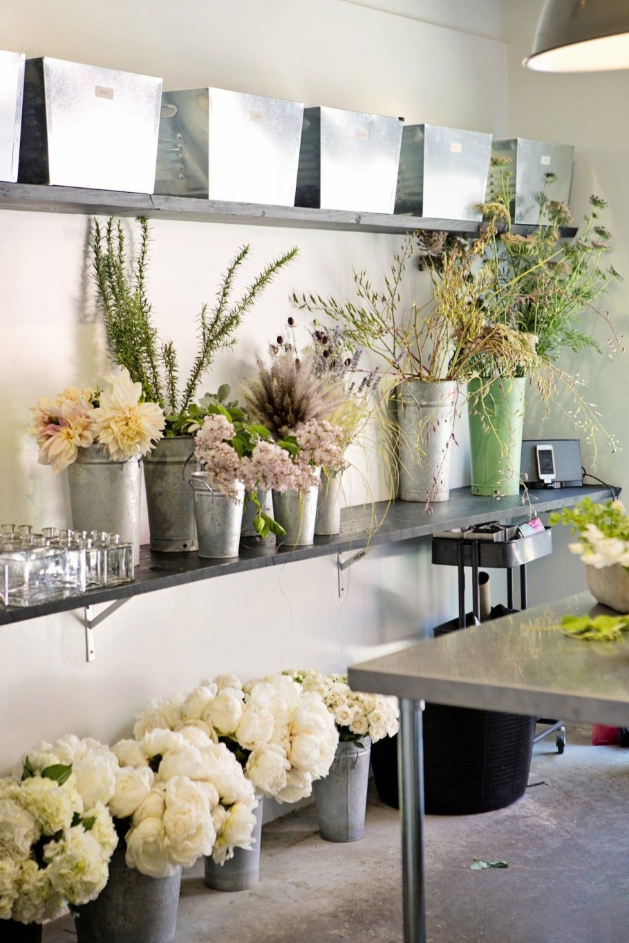 Гостиная с комнатными растениями