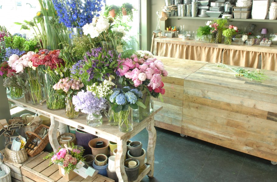 Растения в интерьере