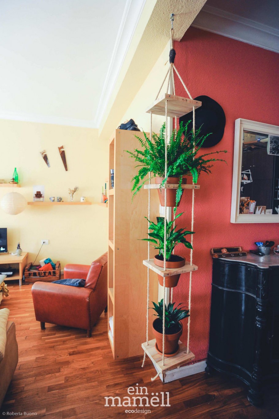 Озеленение сансевьера офис