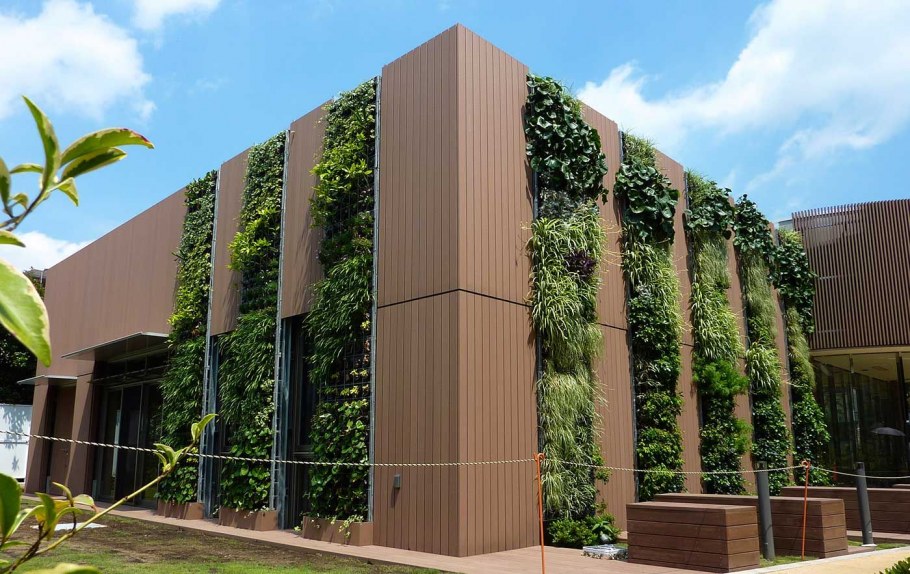 Парк Галицкого вертикальное Озеленение